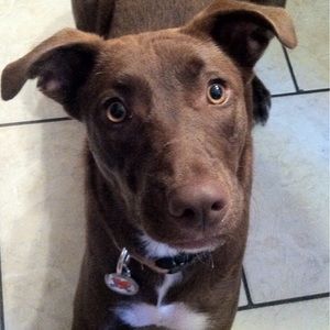 Meet your Posher, Kathy